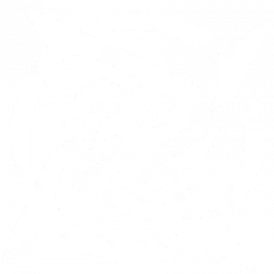 GeT_RiGhT team logo