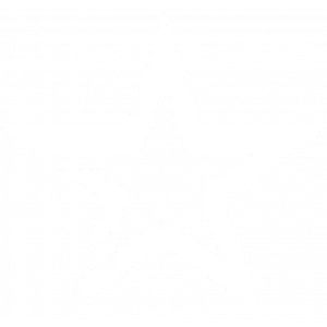 hallzerk team logo