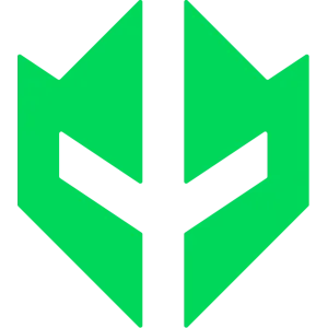 VINI team logo