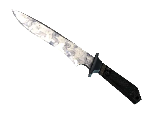 ★ Classic Knife | Stained (Factory New)