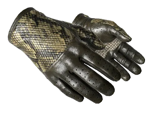 ★ Driver Gloves | Diamondback (Well-Worn)