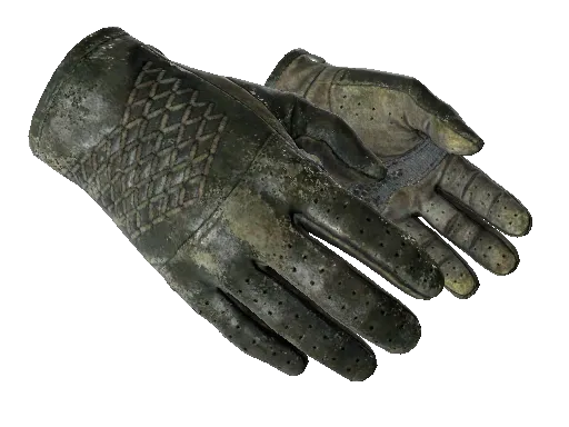 ★ Driver Gloves | Racing Green (Battle-Scarred)