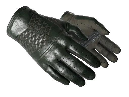 ★ Driver Gloves | Racing Green (Factory New)