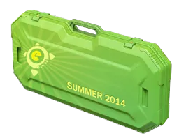 电竞 2014 夏季武器箱