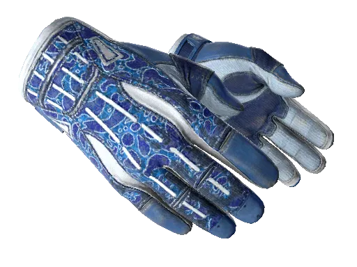 ★ Sport Gloves | Amphibious (Field-Tested)