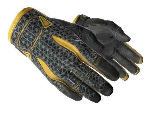 ★ Sport Gloves | Omega (Well-Worn)
