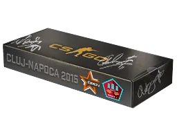 DreamHack Cluj-Napoca 2015 Mirage Souvenir Package Skins