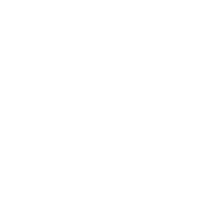 Pimp team logo