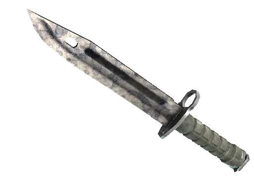 ★ Bayonet | Stained (Battle-Scarred)