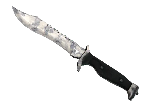 ★ Bowie Knife | Stained (Factory New)