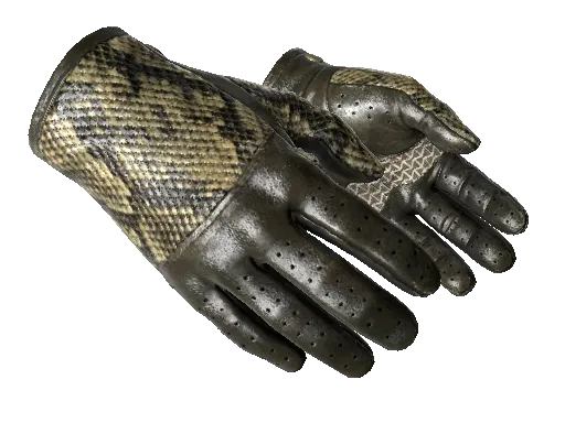 ★ Driver Gloves | Diamondback (Field-Tested)