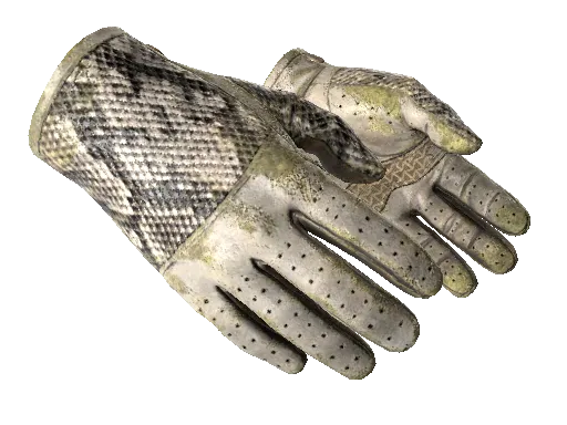 ★ Driver Gloves | King Snake (Battle-Scarred)