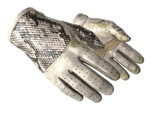 ★ Driver Gloves | King Snake (Well-Worn)