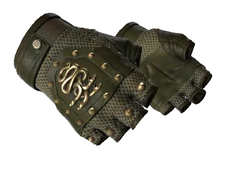 Hydra-Handschuhe (★) | Mangrove (Minimale Gebrauchsspuren)
