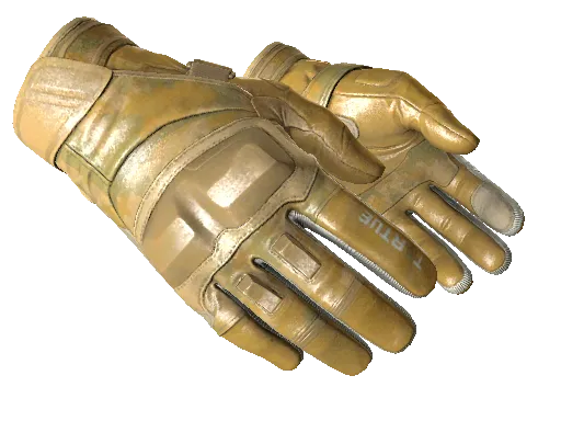 ★ Moto Gloves | Transport (Factory New)