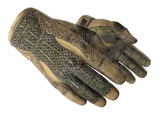 ★ Спортивные перчатки | Засуха (Закалённое в боях)