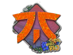 Klistermärke | Fnatic (Glitter) | Rio 2022